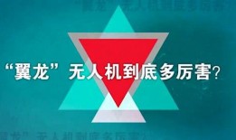 咕噜噜的爆料视频大全免费观看,免费观看，揭秘娱乐圈幕后故事